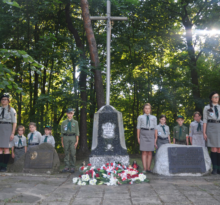 Święto Wojska Polskiego, Gmina Wiązowna, 15.08.2015