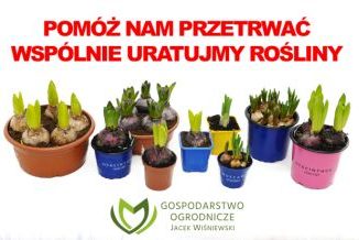 Plakat Gospodarstwa Ogrodniczego Jacek Wiśniewski z napisem Pomóż nam przetrwać wspólnie uratujmy rośliny. Na zdjęciu kwiaty w kolorowych doniczkach
