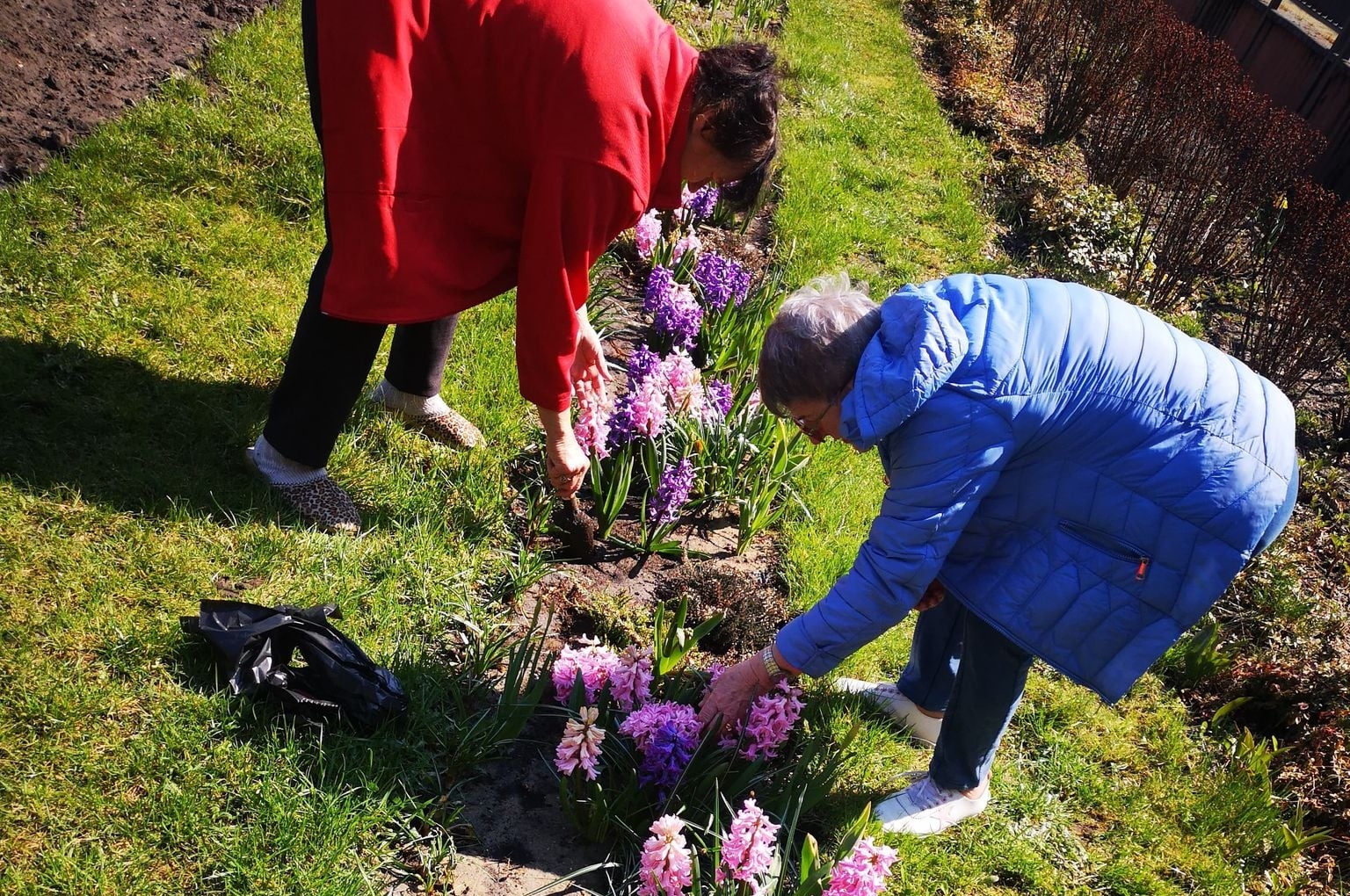 Seniorzy z Dzienne Domu "Senior+" w Woli Karczewskiej sadzą kwiaty