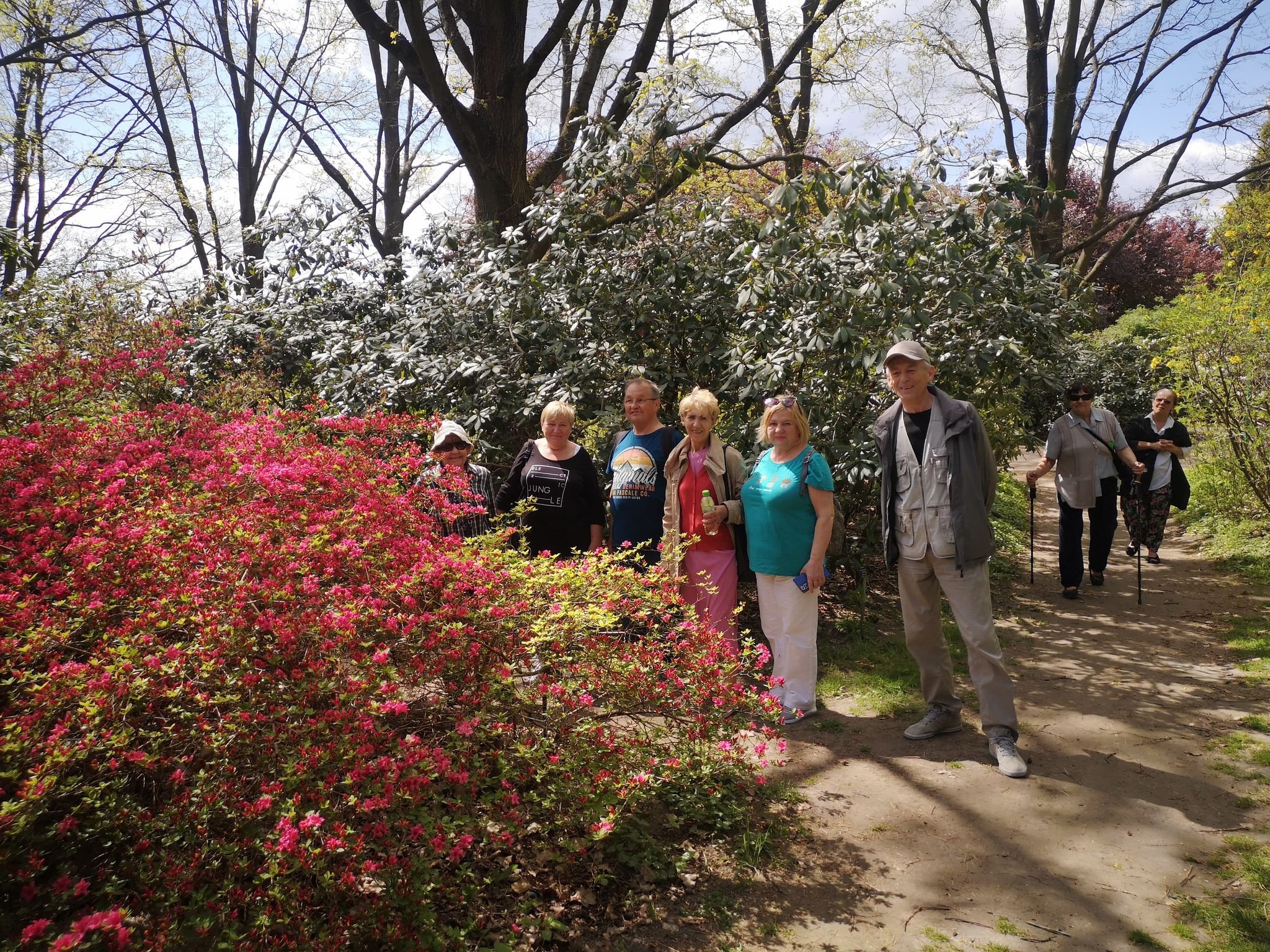 Seniorzy w Ogrodzie Botanicznym w Powsinie podziwiają kwitnące azalie