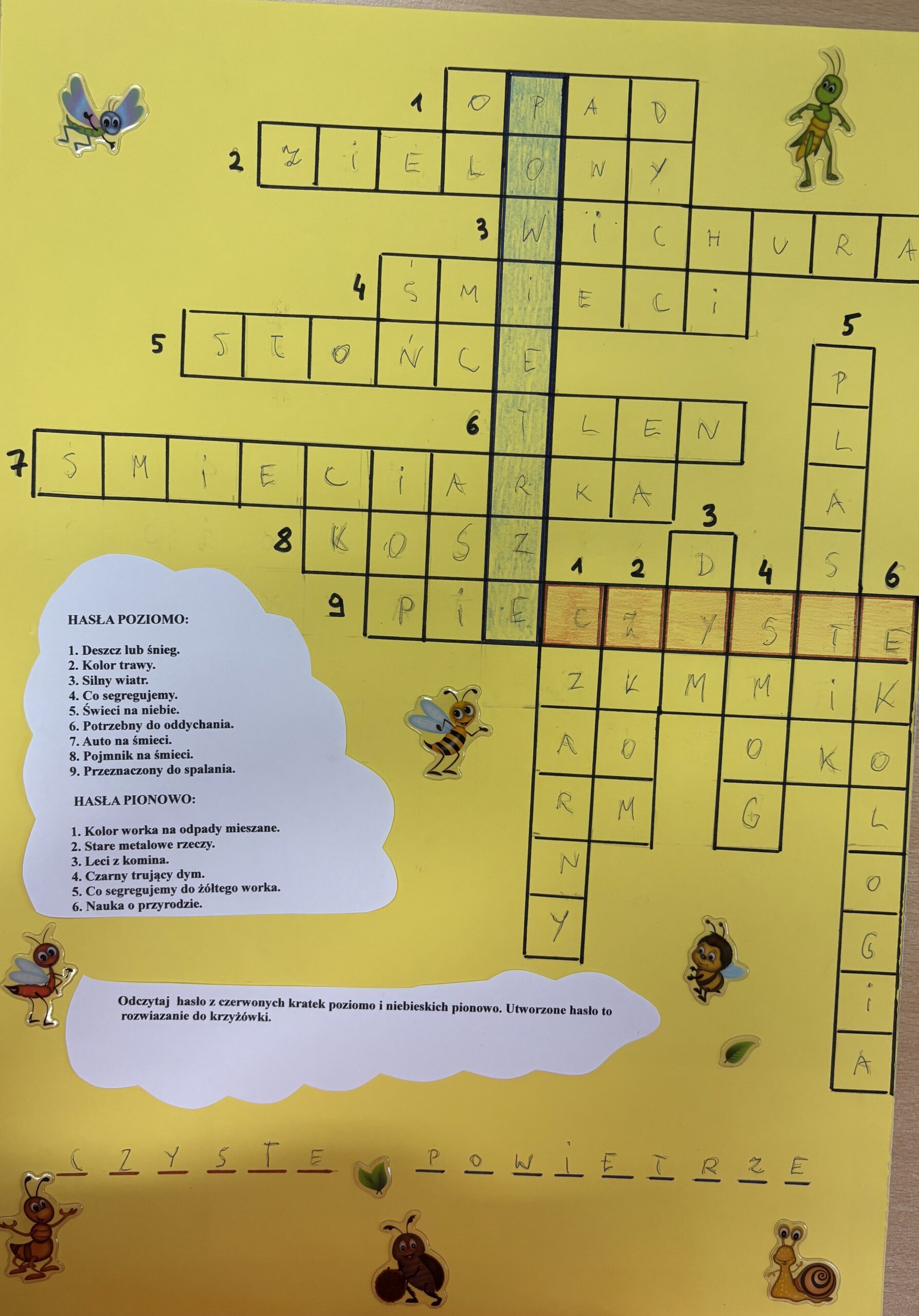 Aleksander Ostrowski Vb SP Wiązowna