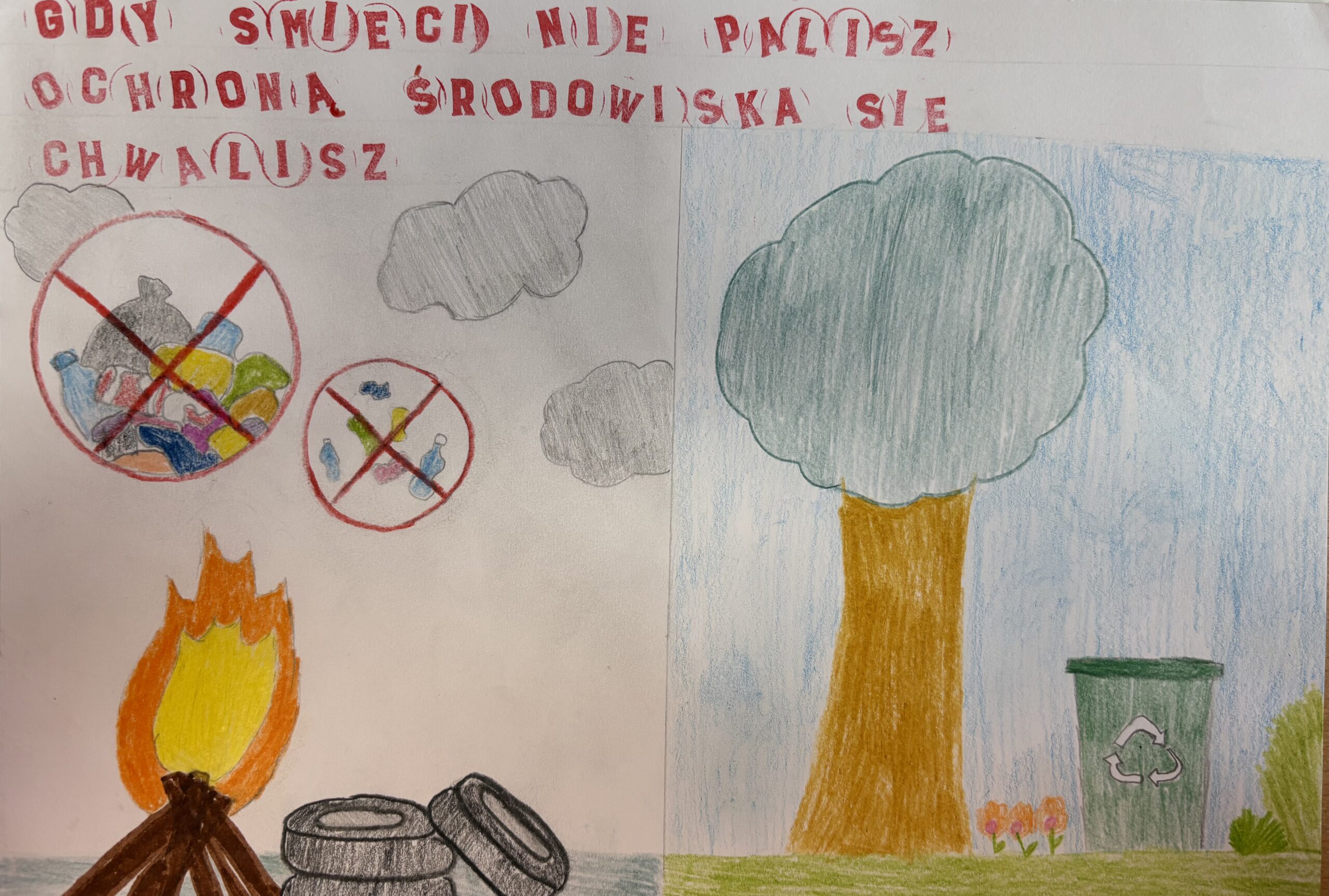 Aleksandra Kraśniewska VIIIB SP Wiązowna,