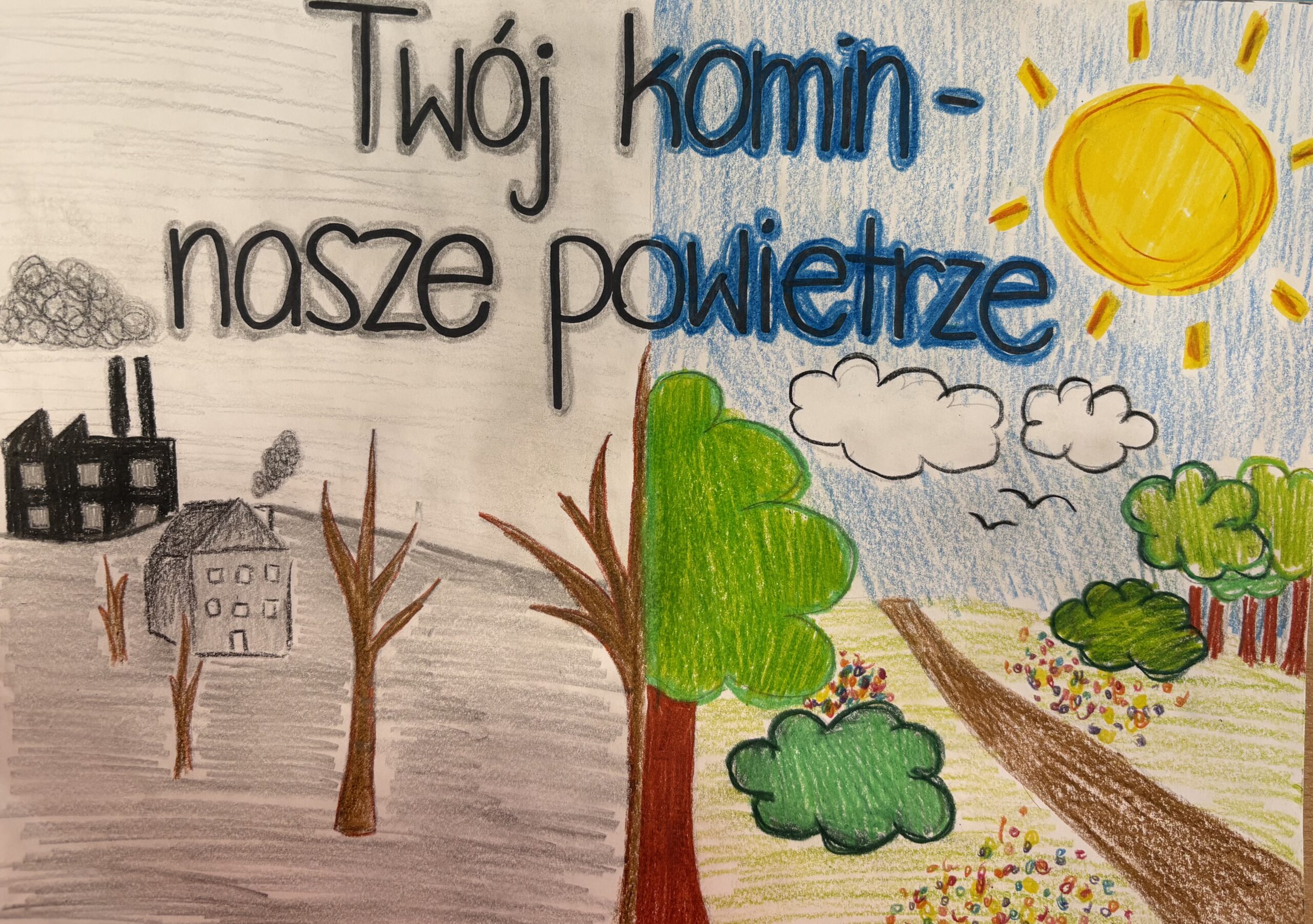 Basia Grochowska VII B SP Wiązowna