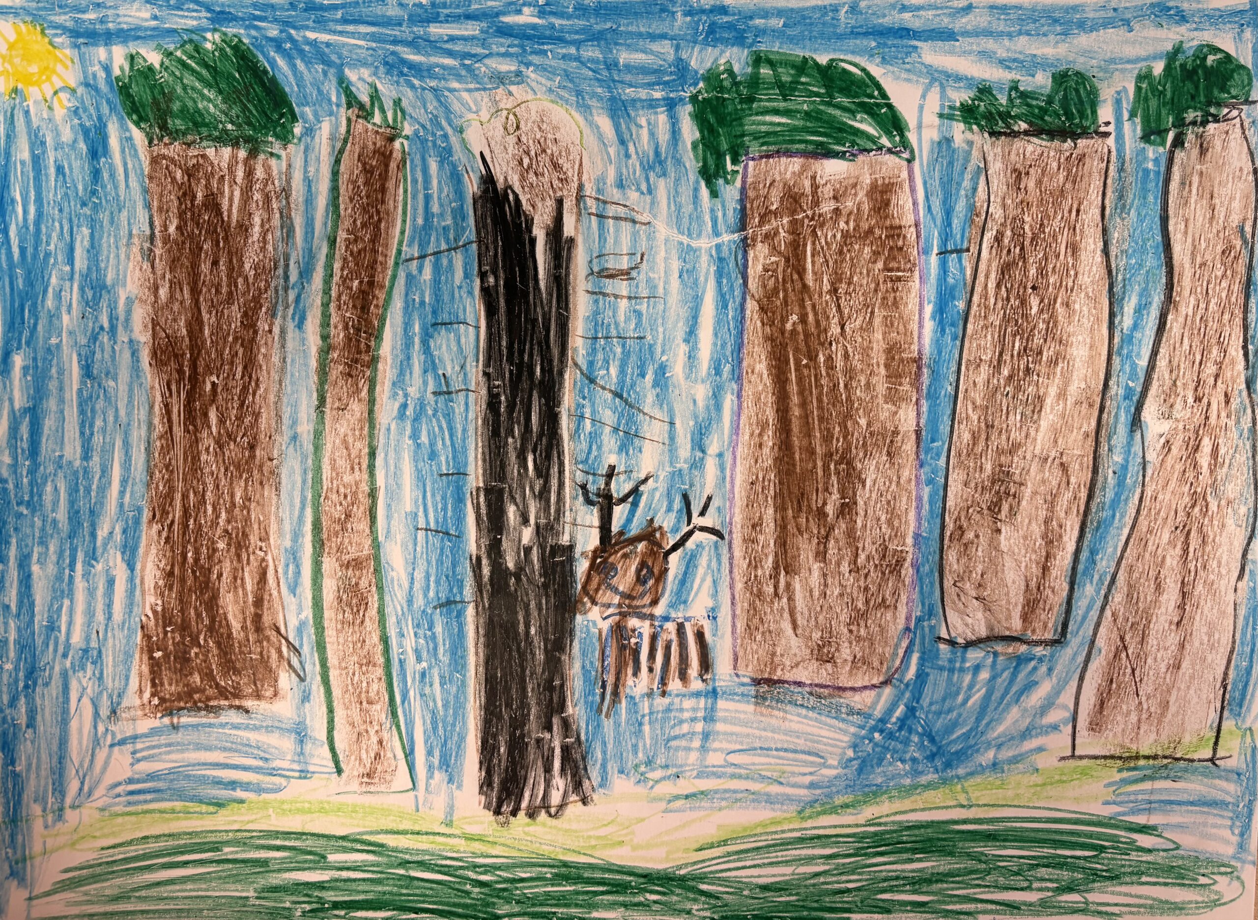 Kajetan Smolak-Kosyra Przedszkole Pod Stumilowym Lasem Pęclin gr(sówki)