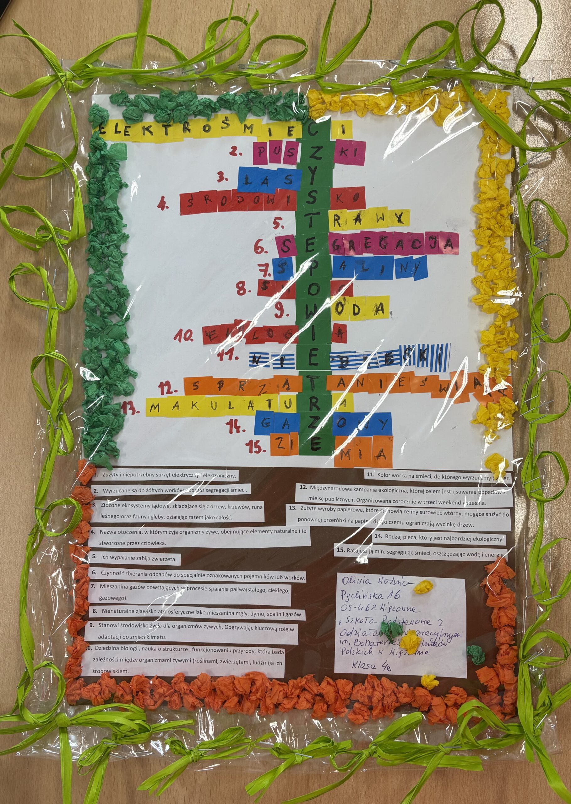 Oliwia Woźnica IVe SP Wiązowna